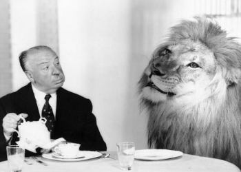 Foto: Alfred Hitchcock speist mit MGM-Löwe ​​– 1960er Jahre
 [Alte Nutzer. Innen Bilder und Fotos]