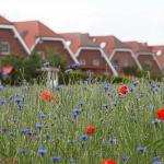 bild-2175900_600_800-jpg