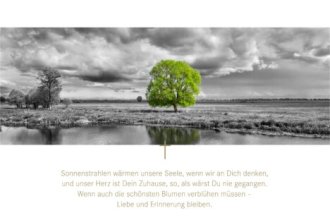 f09f90a6-jeder-mensch-kann-helfen-die-welt-zu-verbessern-ein-plaedoyer-fuer-mehr-zusammenhalt