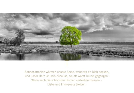 f09f90a6-jeder-mensch-kann-helfen-die-welt-zu-verbessern-ein-plaedoyer-fuer-mehr-zusammenhalt