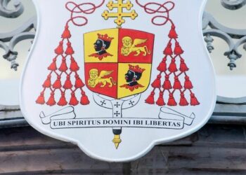 Der Justiz wird vorgeworfen, die Aufarbeitung des Missbrauchsskandals zu überlassen und damit Vertuschung zu ermöglichen.