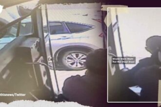 bus-driver-saves-kid-from-accident-jpeg