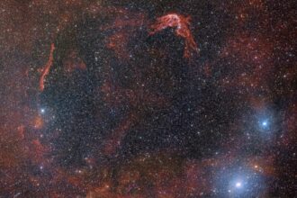 nova1crop-800x591-jpg