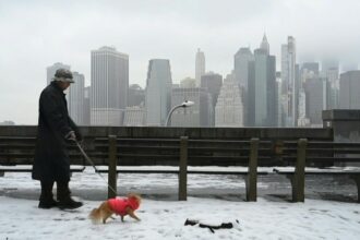 schnee-bierfest-in-new-york-abgesagt-wegen-schnee