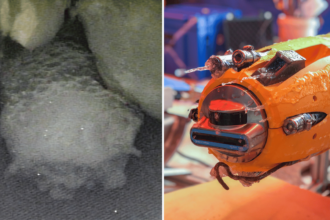 tlwm9tilbimmtwmdsbnpyoqbvqmxwmrkxn28aczi-png