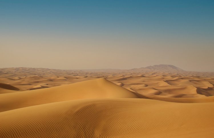 dubai desert safari, desert safari dubai, capture desert