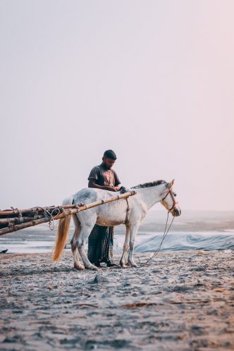 man, beach, horse